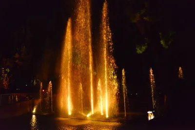 DSC_7047 (Large).JPG